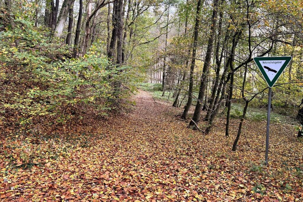 Forest Retreat- Serene 160M2 With Forest Views Wermelskirchen Zewnętrze zdjęcie